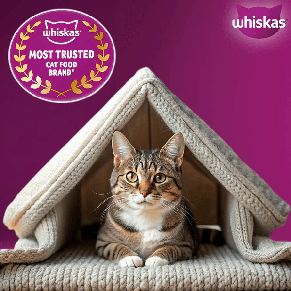 Whiskas Ocean Fish Flavour Adult Cat Dry Food - Image 12