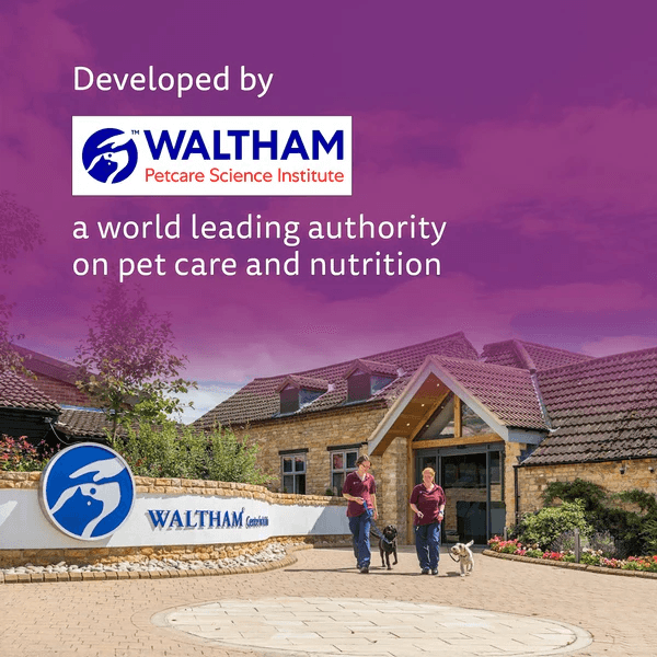 Whiskas Ocean Fish Flavour Adult Cat Dry Food - Image 15