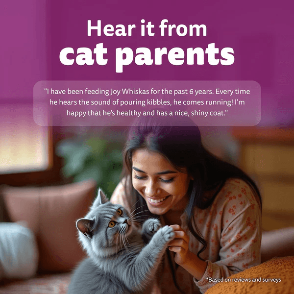 Whiskas Ocean Fish Flavour Adult Cat Dry Food - Image 16