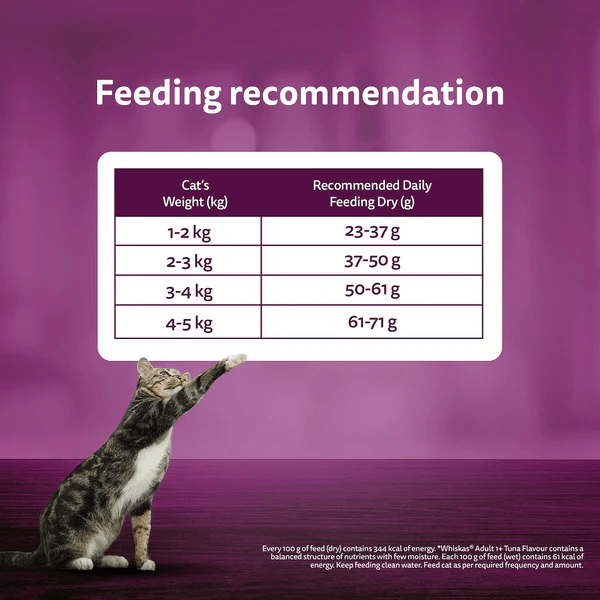 Whiskas Ocean Fish Flavour Adult Cat Dry Food - Image 18