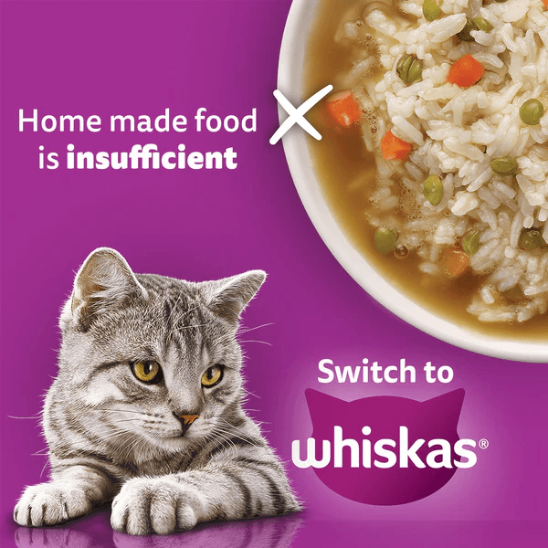 Whiskas Ocean Fish Flavour Adult Cat Dry Food - Image 4