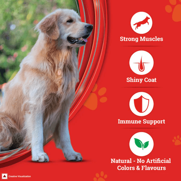 Purina SuperCoat Chicken Smartblend Adult Dog Dry Food (1+ Years) - Image 3