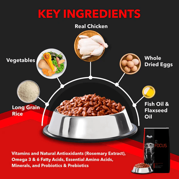 Drools Focus Super Premium Adult Dog Dry Food | Corn & Wheat Free Formula - Image 2