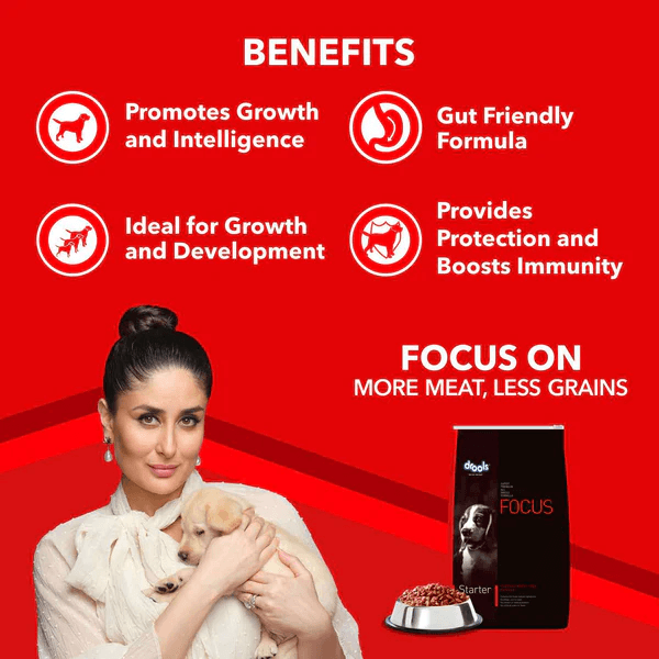 Drools Focus Super Premium Starter Dog Dry Food | Corn & Wheat Free Formula - Image 3