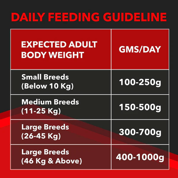 Drools Focus Super Premium Adult Dog Dry Food | Corn & Wheat Free Formula - Image 5