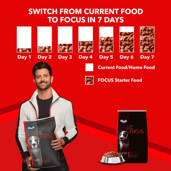 Drools Focus Super Premium Starter Dog Dry Food | Corn & Wheat Free Formula - Image 4