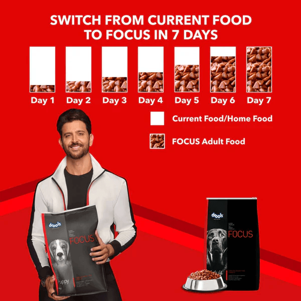 Drools Focus Super Premium Adult Dog Dry Food | Corn & Wheat Free Formula - Image 4