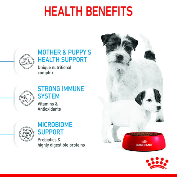 Royal Canin Mini Starter Dog Dry Food - Image 5
