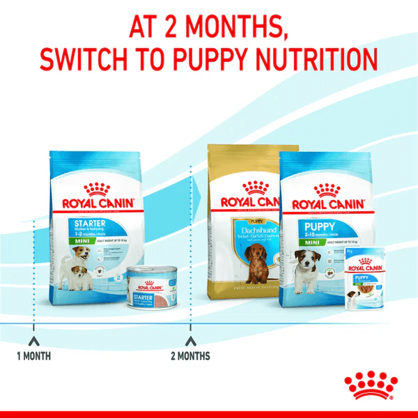 Royal Canin Mini Starter Dog Dry Food - Image 7