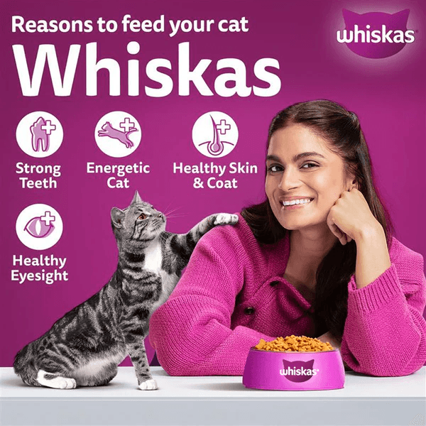Whiskas Ocean Fish Flavour Adult Cat Dry Food - Image 9