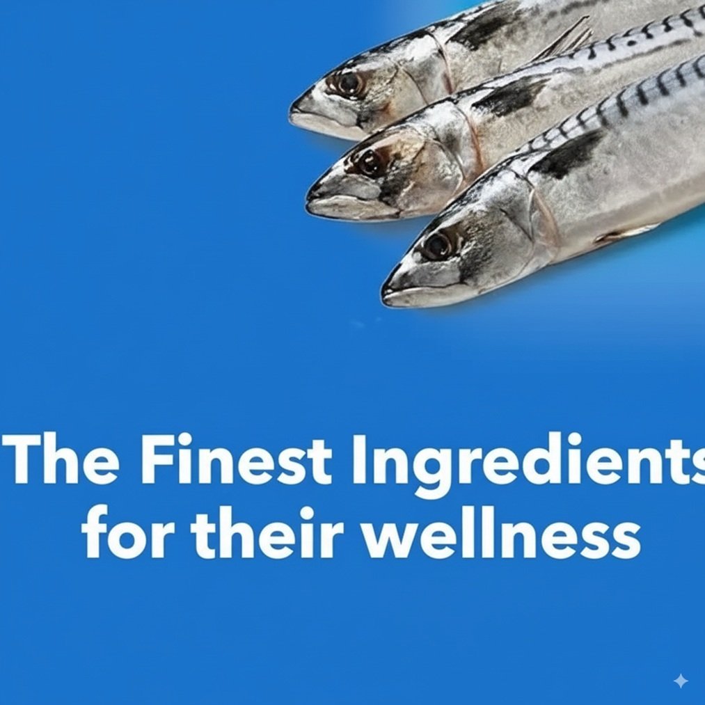 Drools Ocean Fish Adult Cat Dry Food - Image 2