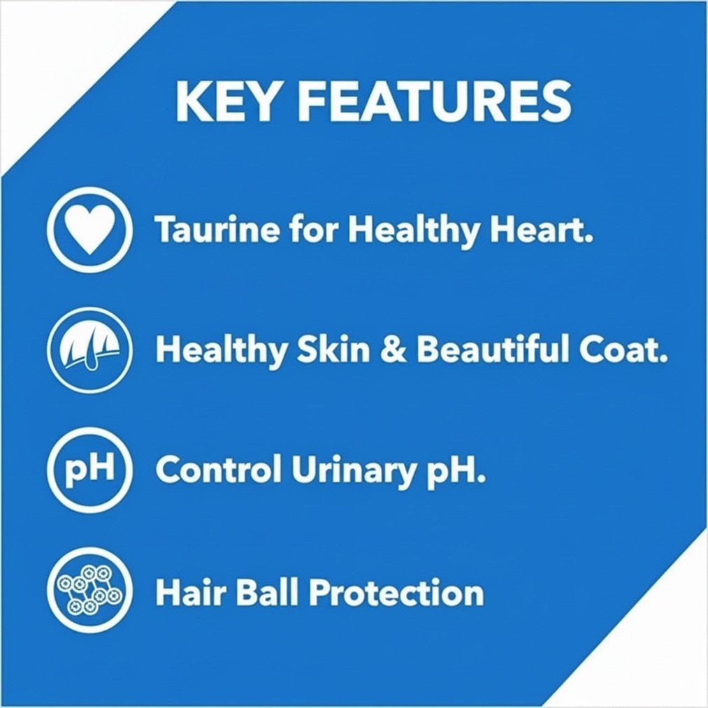 Drools Ocean Fish Adult Cat Dry Food - Image 3