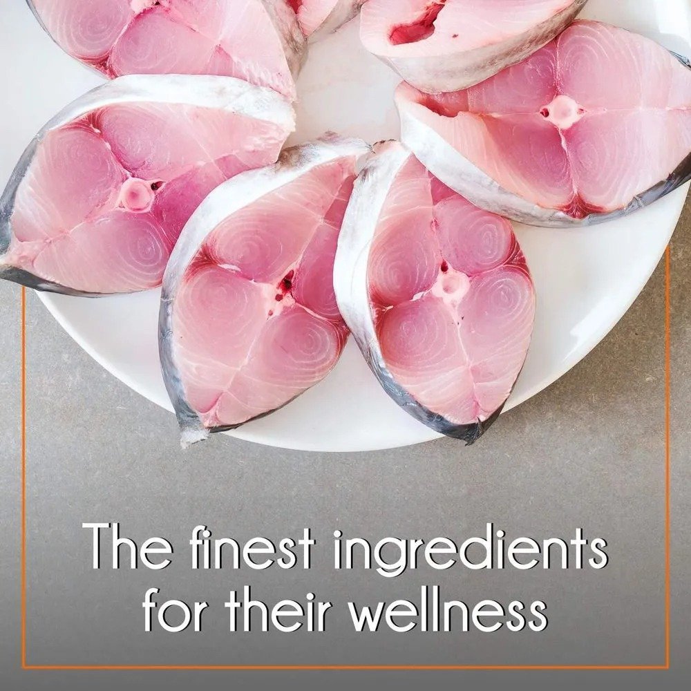 Purepet Mackerel Adult Cat Dry Food - Image 2